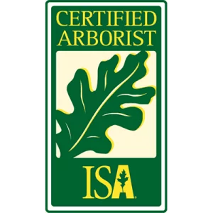 isa certification logo
