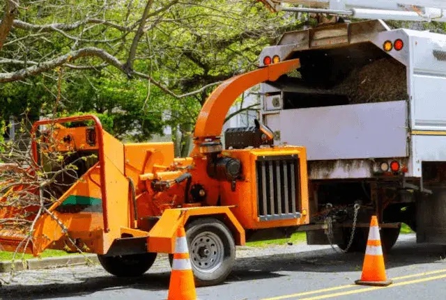 tree removal jefferson alabama