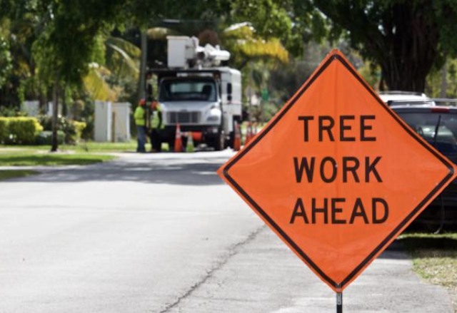 emergency tree service