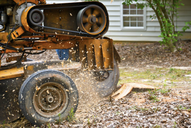 stump removal jefferson alabama