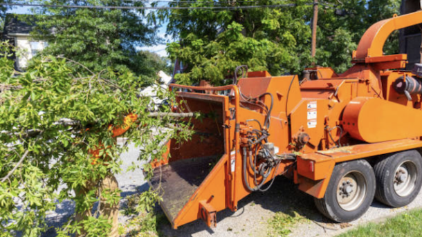 tree removal machinery